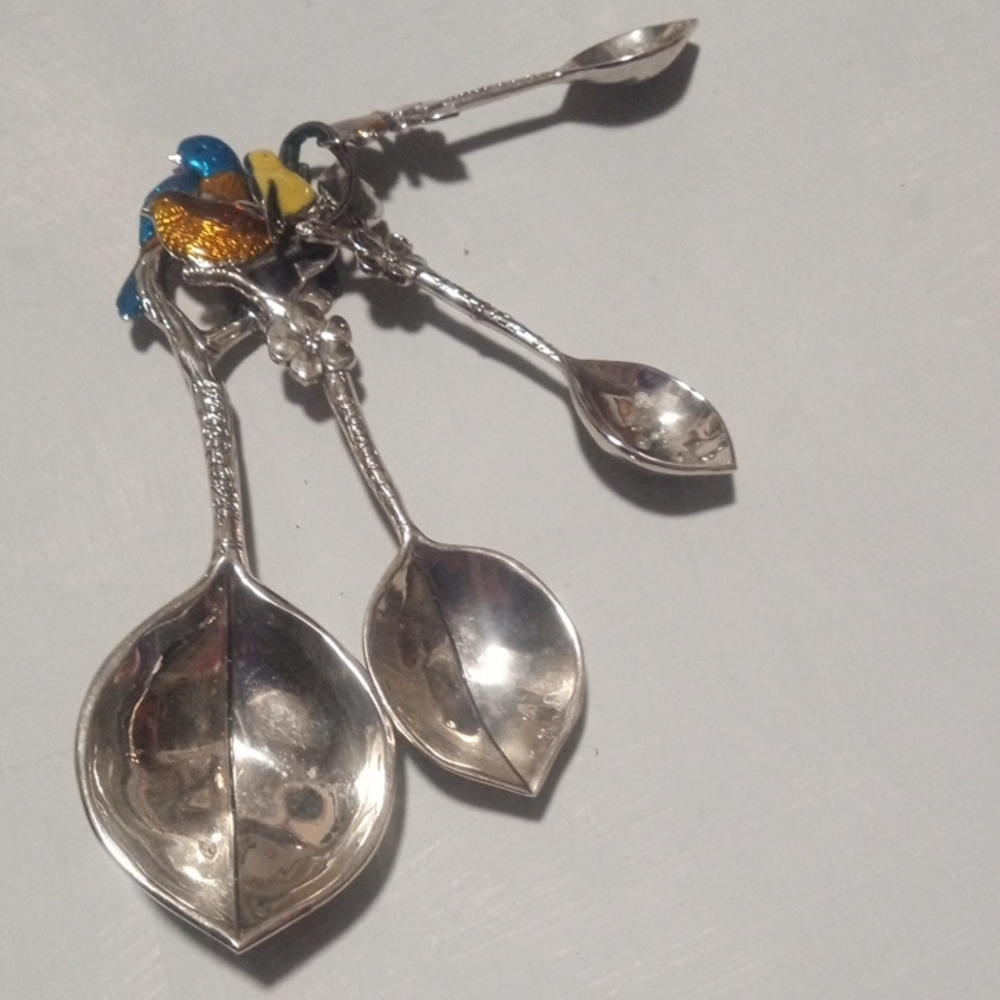 GANZ Silver Measuring Spoons with  Colorful Bird Accents